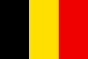 Vlajka Belgie 20 x 30 cm